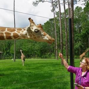 Meet your Posher, Amy